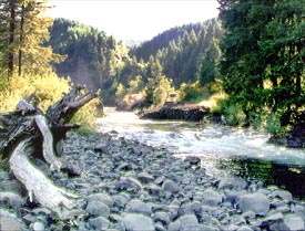 A view up the Molalla River looking South with Shotgun Creek Canyon in the background.